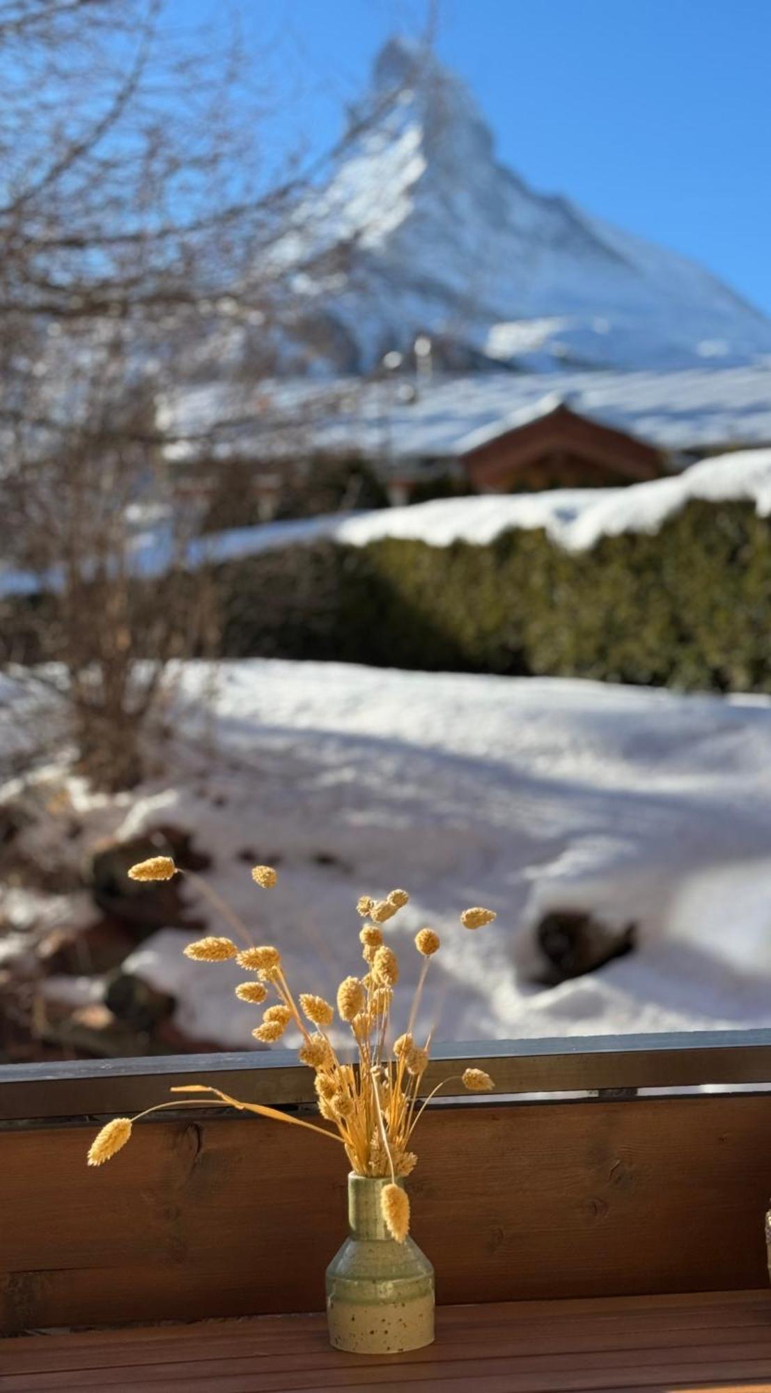 Hotel Sonnmatten Boutique Hotel&apartments Zermatt